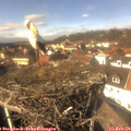 14_00-nest.jpg