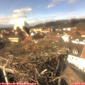 14_05-nest.jpg