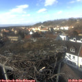 14_15-nest.jpg