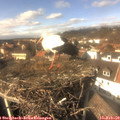 14_20-nest.jpg