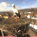 14_35-nest.jpg