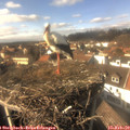 14_40-nest.jpg