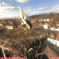 14_45-nest.jpg