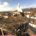 14_50-nest.jpg