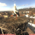 14_55-nest.jpg