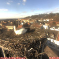 15_00-nest.jpg