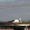 15_05-mast.jpg