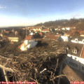 15_05-nest.jpg