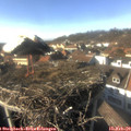 15_15-nest.jpg