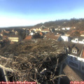 15_20-nest.jpg