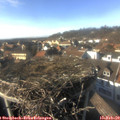 15_25-nest.jpg