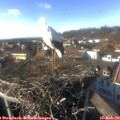15_35-nest.jpg