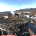 15_45-nest.jpg