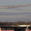 15_50-mast.jpg