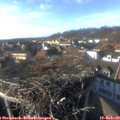 15_55-nest.jpg