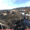 16_00-nest.jpg