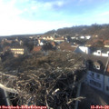 16_05-nest.jpg