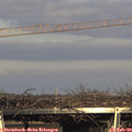 16_10-mast.jpg