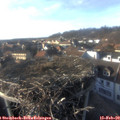 16_10-nest.jpg