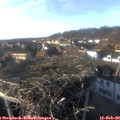16_15-nest.jpg