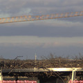16_20-mast.jpg