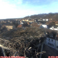 16_20-nest.jpg