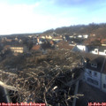 16_25-nest.jpg