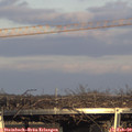 16_30-mast.jpg
