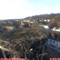 16_35-nest.jpg