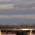 16_40-mast.jpg