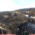 16_40-nest.jpg