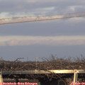 16_45-mast.jpg