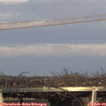16_50-mast.jpg