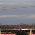 16_55-mast.jpg