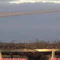 17_05-mast.jpg