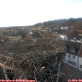 17_05-nest.jpg