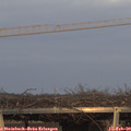 17_10-mast.jpg