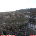 17_20-nest.jpg