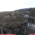 17_25-nest.jpg