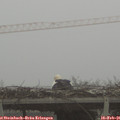 07_40-mast.jpg