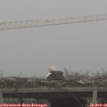 07_45-mast.jpg