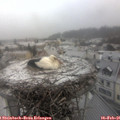 08_00-nest.jpg