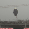 08_20-mast.jpg