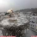08_20-nest.jpg