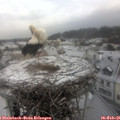 08_40-nest.jpg