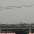 08_45-mast.jpg
