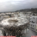08_55-nest.jpg