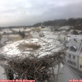 09_00-nest.jpg