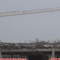 09_10-mast.jpg