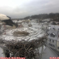 09_20-nest.jpg
